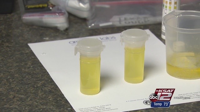 Homemade Synthetic Urine Vue Park Vancouver WA